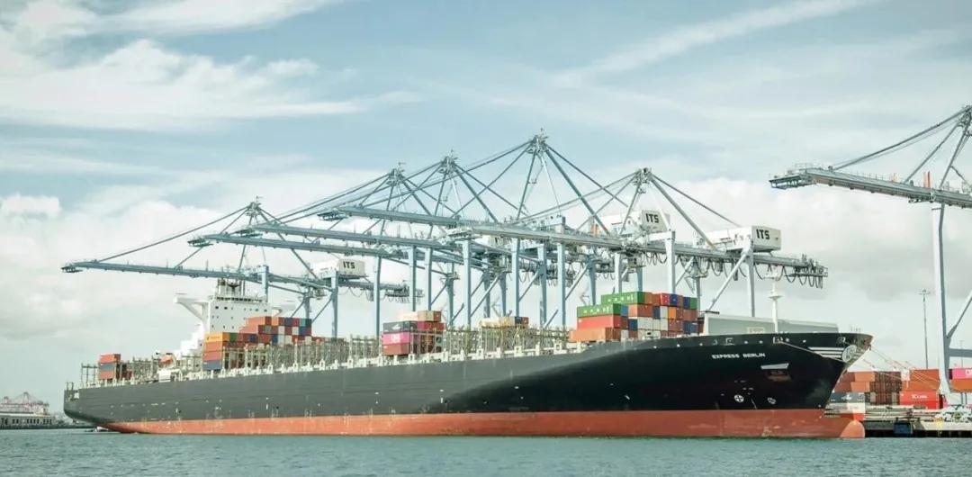 亚洲码欧美码一区二区三区