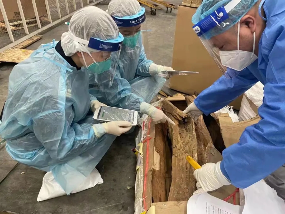 亚洲码欧美码一区二区三区