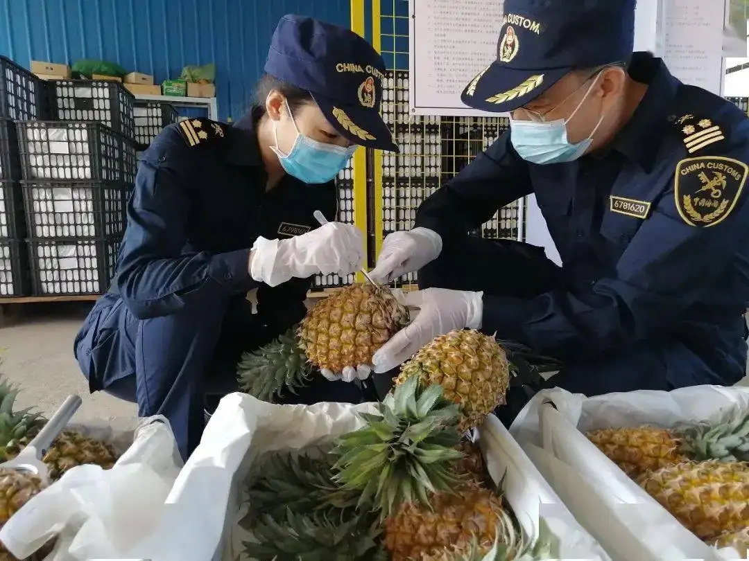 亚洲码欧美码一区二区三区