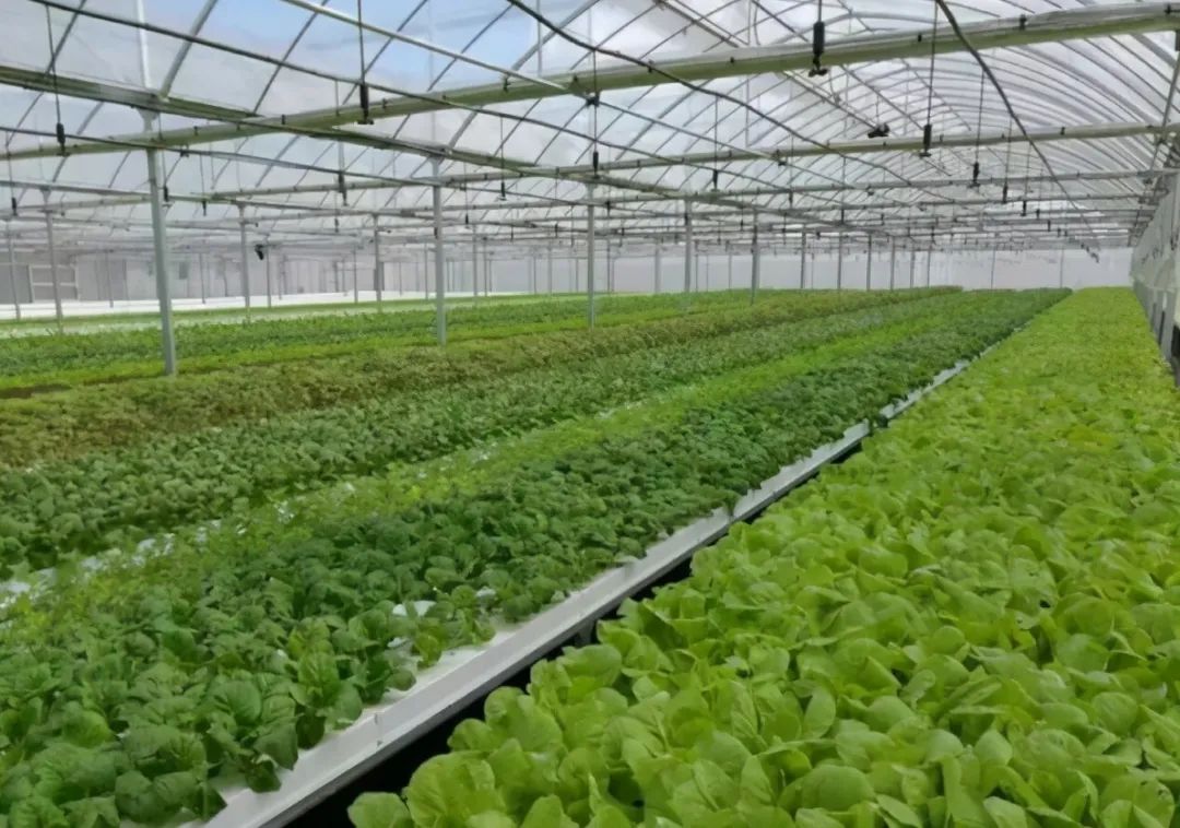 亚洲码欧美码一区二区三区