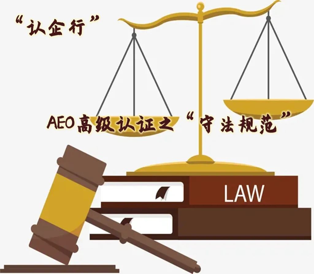 亚洲码欧美码一区二区三区