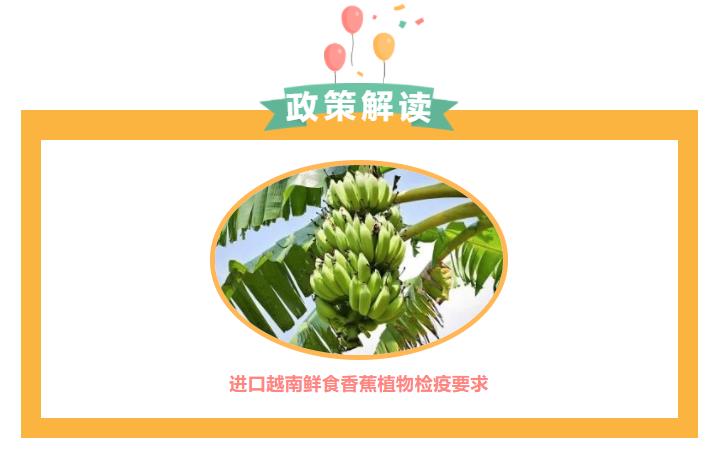 亚洲码欧美码一区二区三区