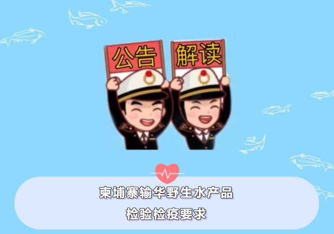 亚洲码欧美码一区二区三区