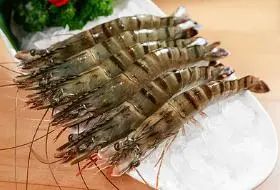 亚洲码欧美码一区二区三区