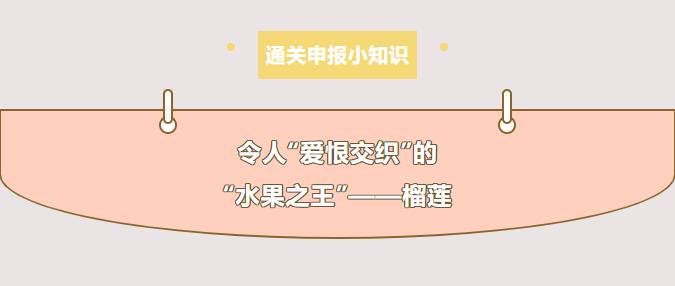 亚洲码欧美码一区二区三区