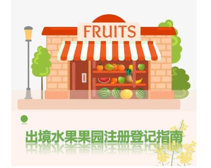 亚洲码欧美码一区二区三区