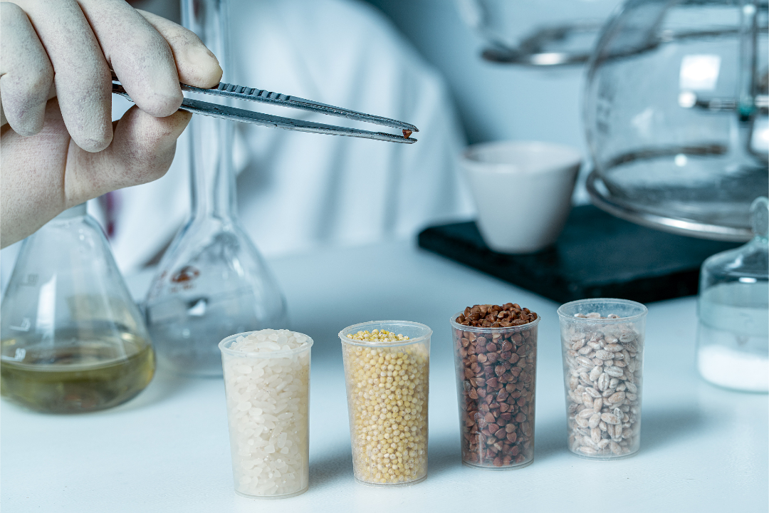 亚洲码欧美码一区二区三区