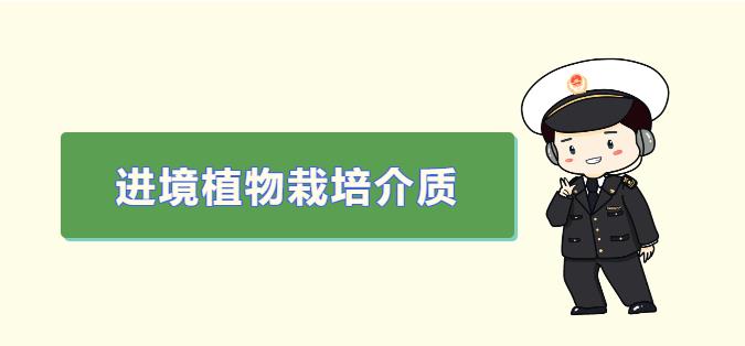 亚洲码欧美码一区二区三区