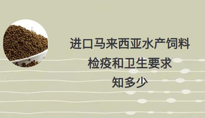 亚洲码欧美码一区二区三区