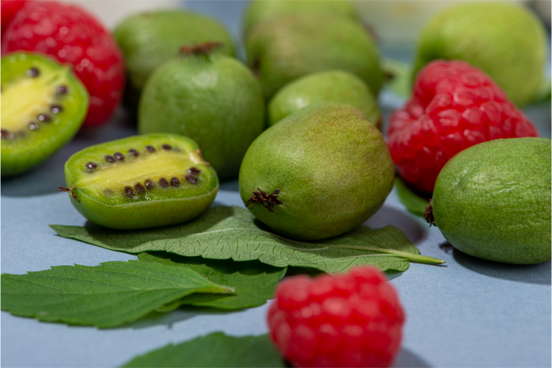 亚洲码欧美码一区二区三区