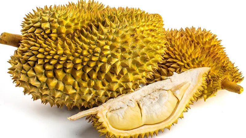 亚洲码欧美码一区二区三区