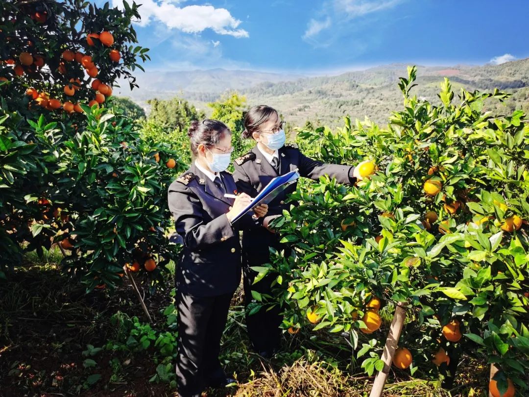 亚洲码欧美码一区二区三区