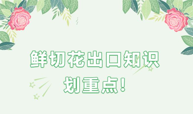 亚洲码欧美码一区二区三区