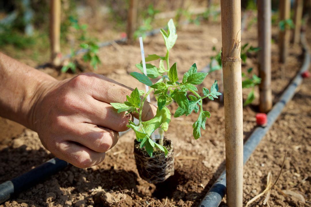 亚洲码欧美码一区二区三区