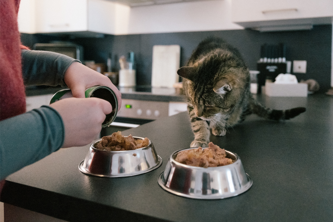 亚洲码欧美码一区二区三区