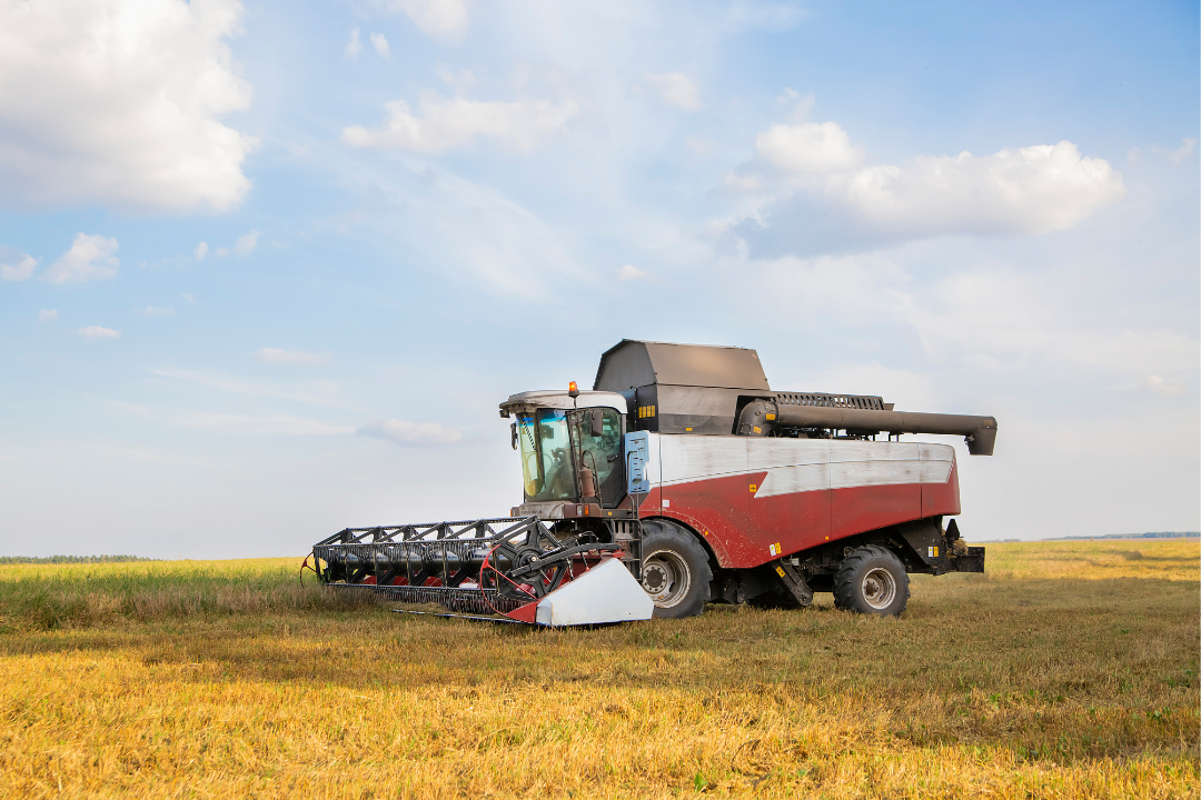 亚洲码欧美码一区二区三区