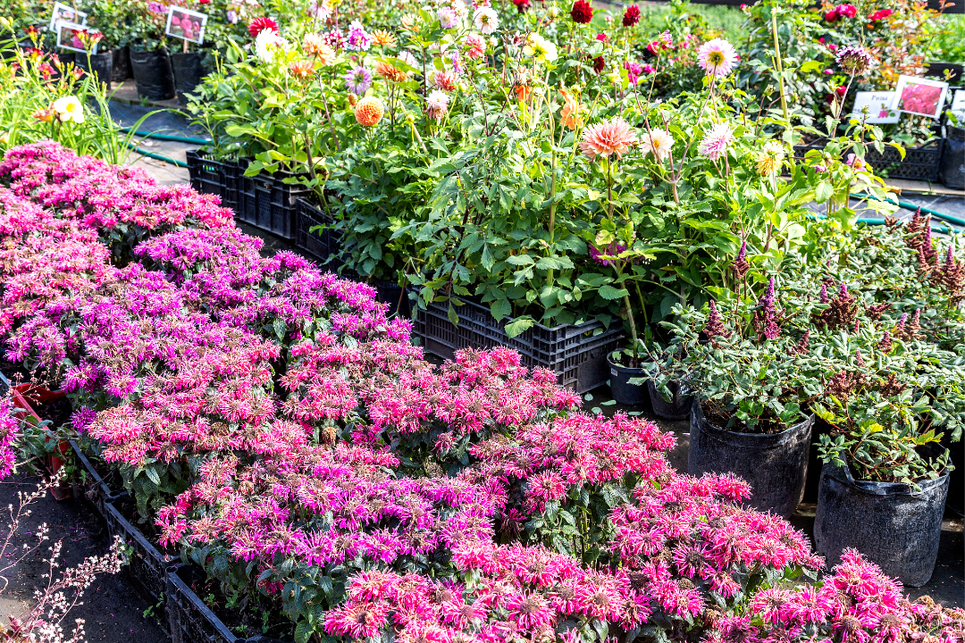 亚洲码欧美码一区二区三区