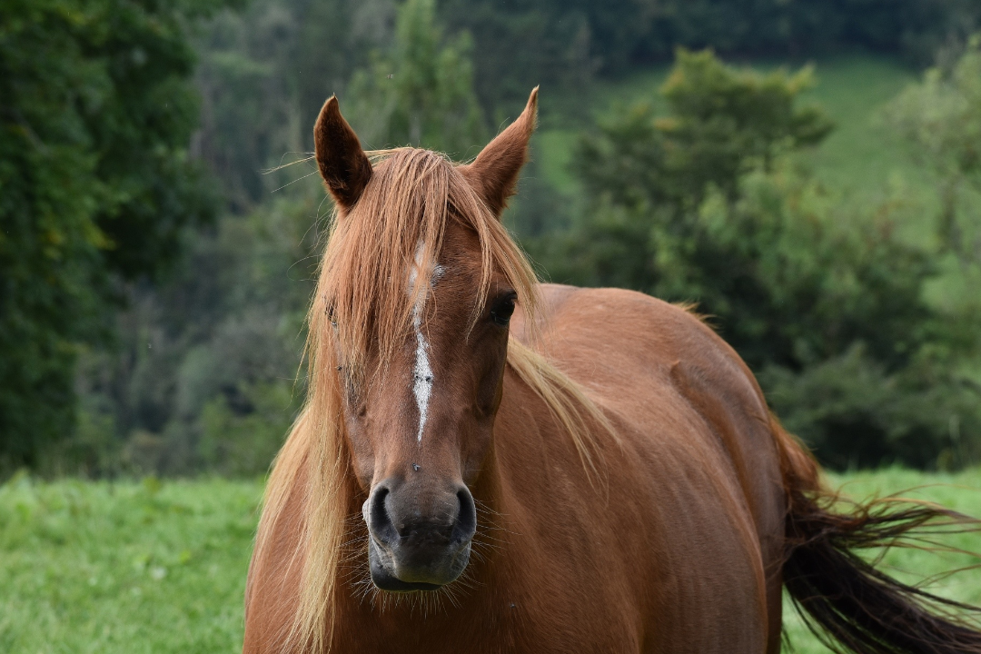 亚洲码欧美码一区二区三区