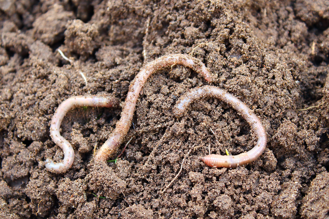 亚洲码欧美码一区二区三区