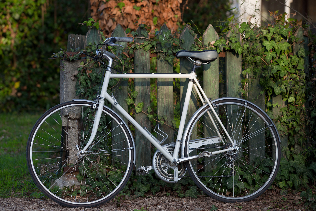 亚洲码欧美码一区二区三区