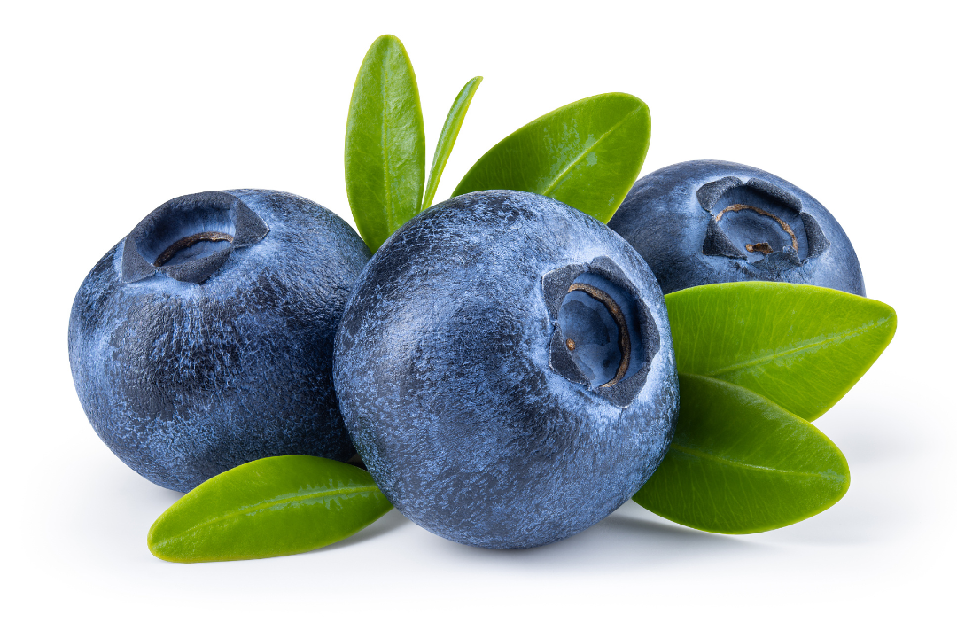 亚洲码欧美码一区二区三区