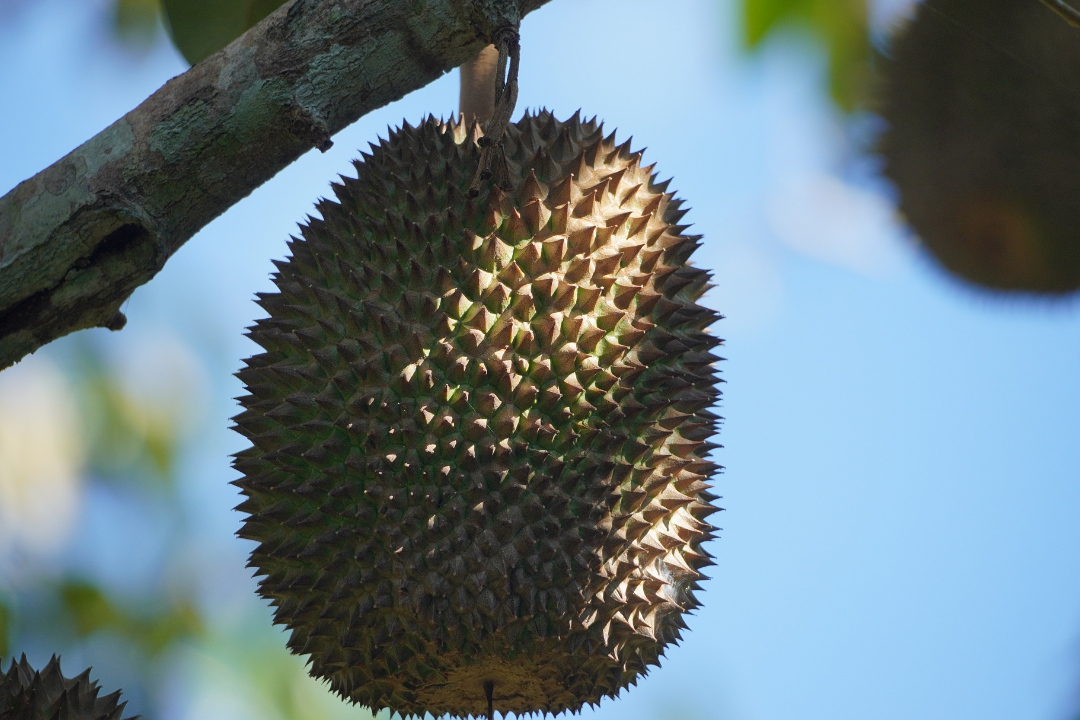 亚洲码欧美码一区二区三区