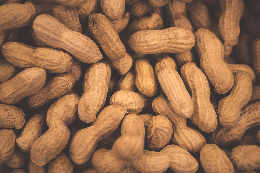 亚洲码欧美码一区二区三区