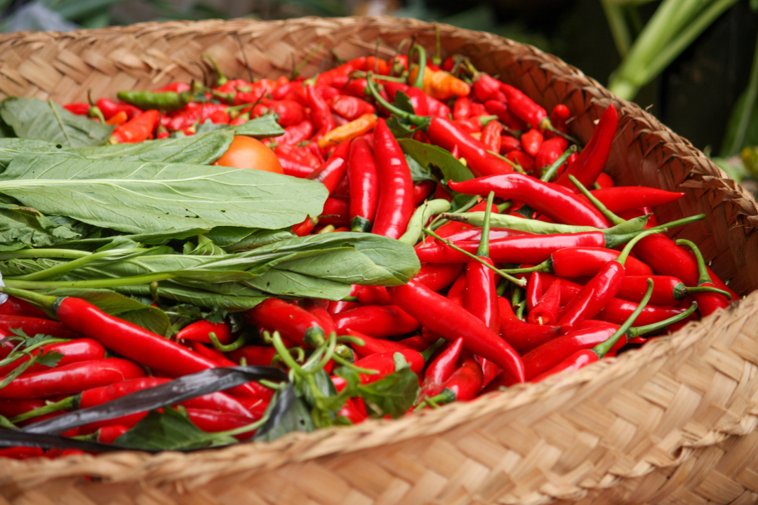 亚洲码欧美码一区二区三区