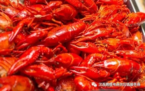 5b334b201b9e4.jpg 0622-2.webp.jpg