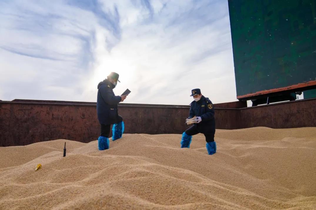 5e7317687f7c9.jpg 5e7317687f7c9.jpg