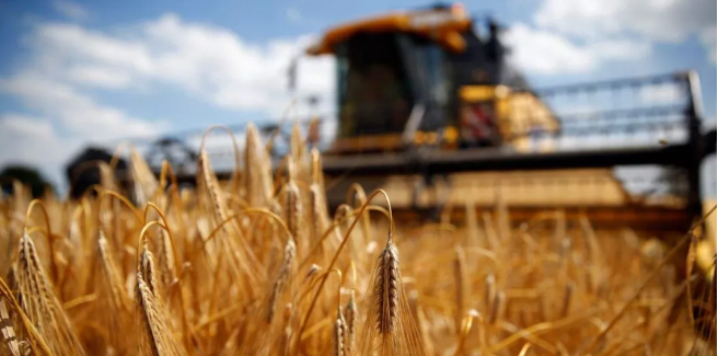 5ec5e30be8e36.png 222.png