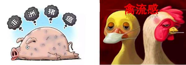 5f681d5642104.jpg 12.12.12.jpg