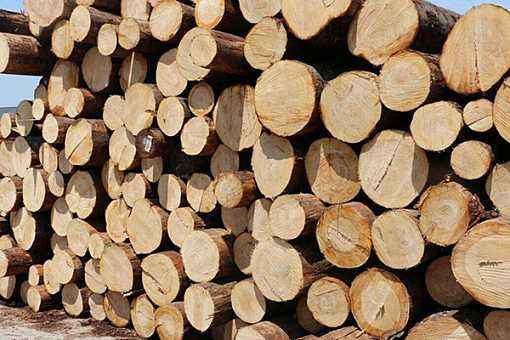 5fb488d4330e0.jpg 2.jpg