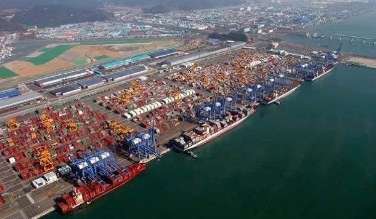 5fb72246c113d.jpg 5fb72246c113d.jpg