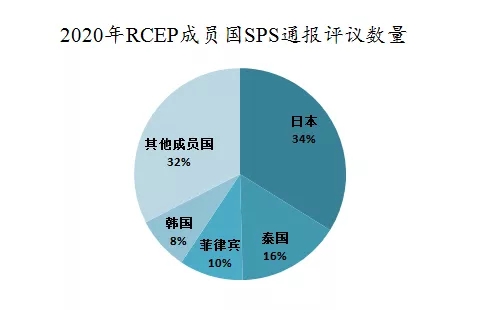 607806d4d7ba0.jpg 444.webp.jpg