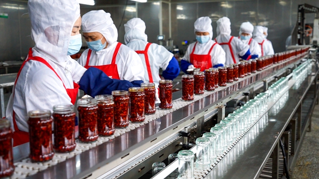 亚洲码欧美码一区二区三区