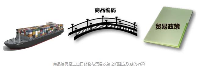 617a0cde2993a.jpg 222.jpg