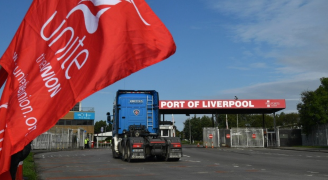 636c57ef3a437.png 636c57ef3a437.png