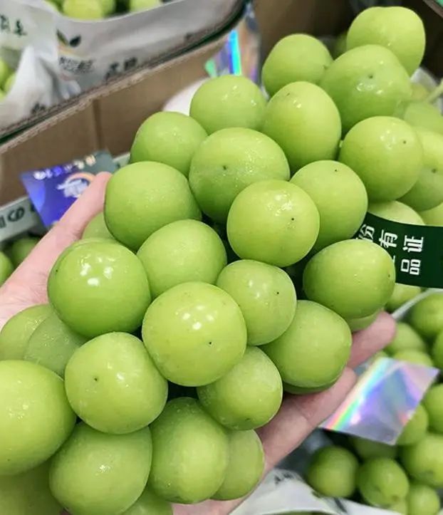 636e07e470adb.jpg 66.jpg