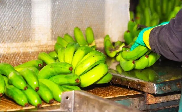 6375f988d1031.jpg 2.jpg