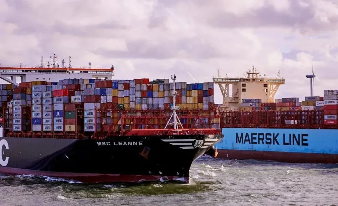 63dc67e29b49d.jpg 4.jpg