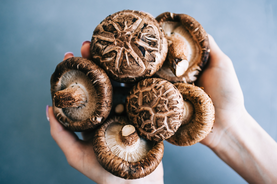 6479a39d5f7ae.png 未命名__2023-06-02+16_02_48.png