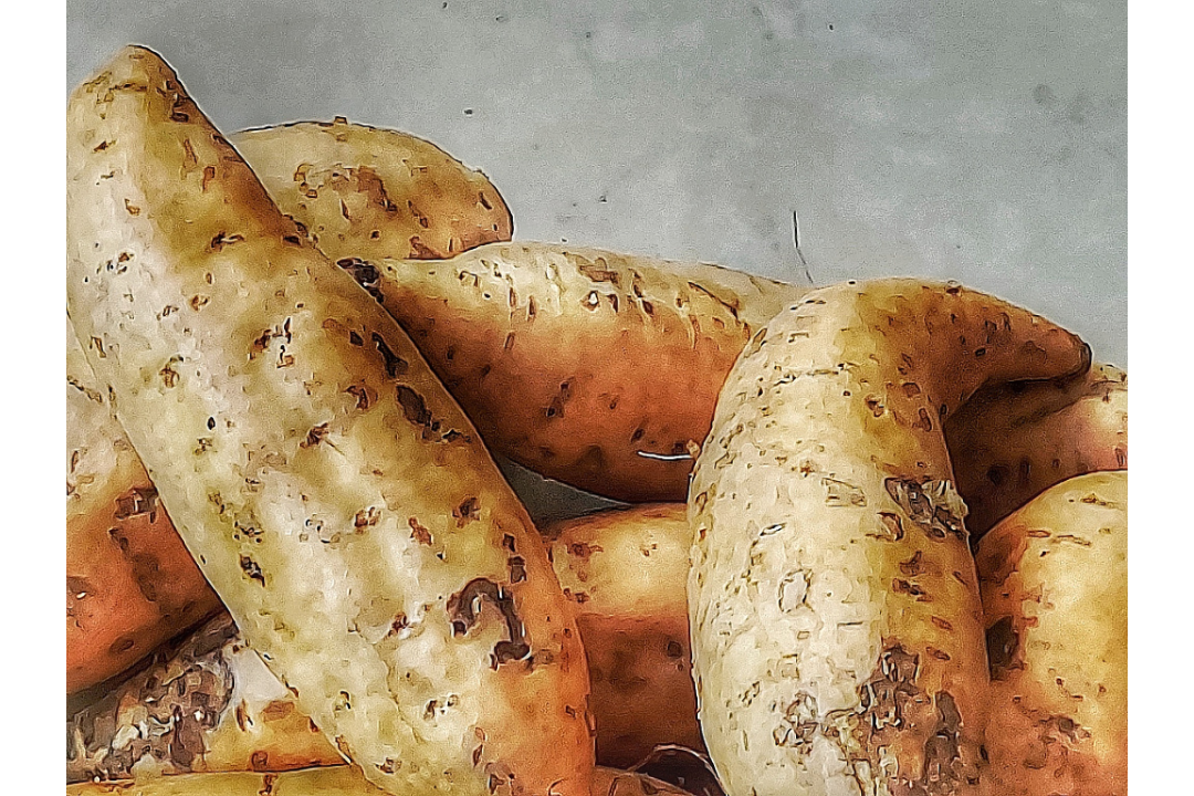 6479a3a809b0f.png 未命名__2023-06-02+16_03_31.png