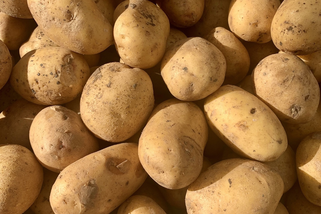 6479a3d18f157.png 未命名__2023-06-02+16_05_38.png