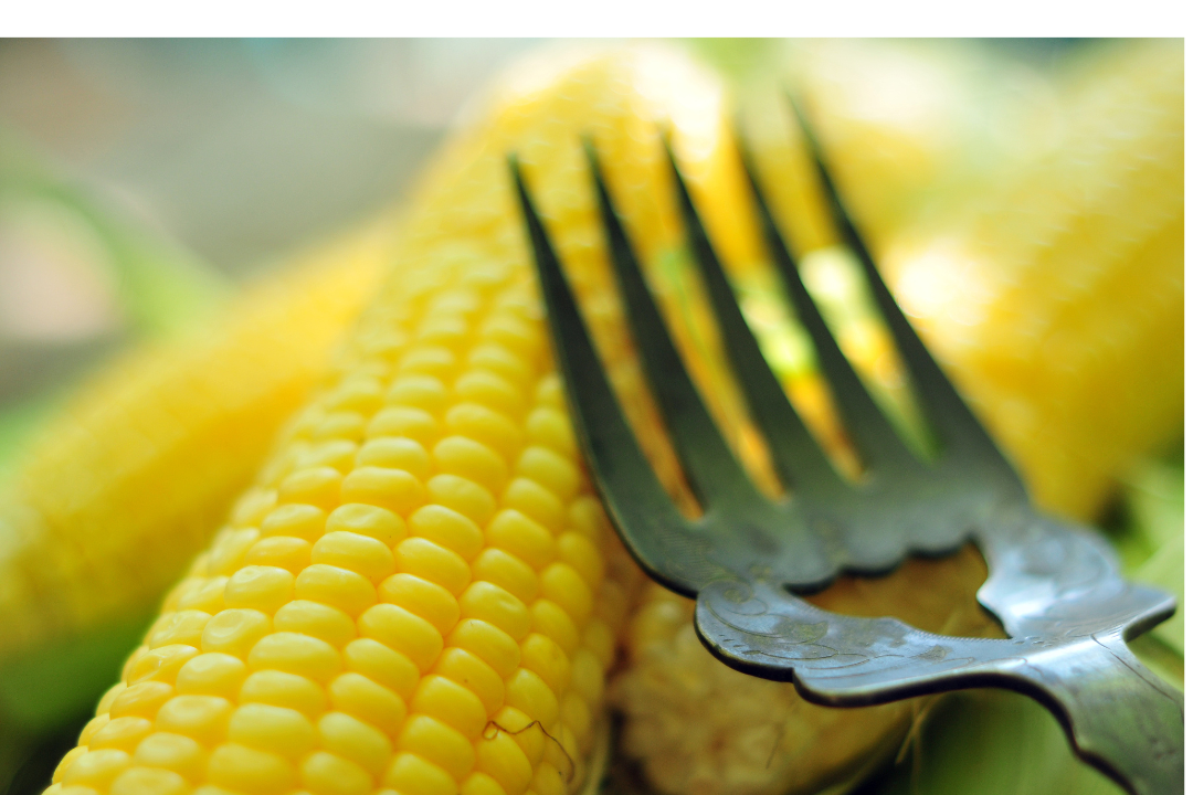 6479a3e2003f2.png 未命名__2023-06-02+15_59_04.png