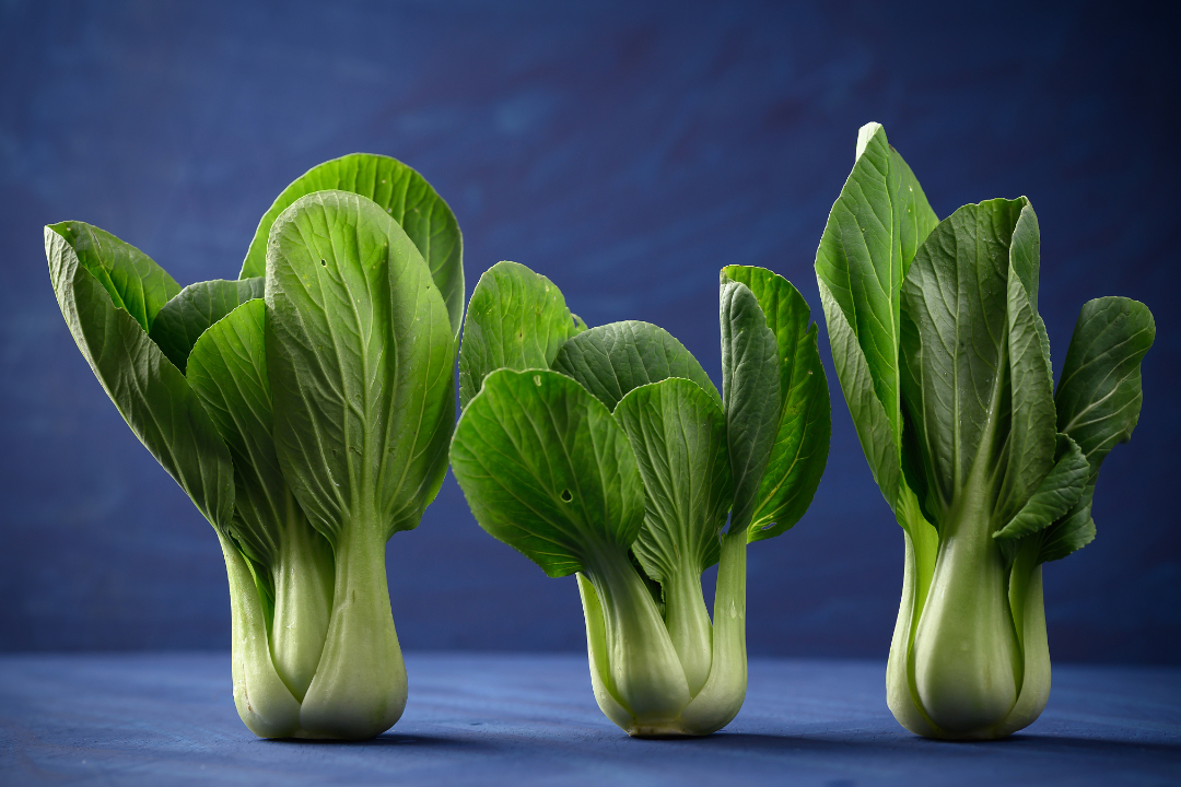 6479a3fb80886.png 未命名__2023-06-02+16_06_45.png