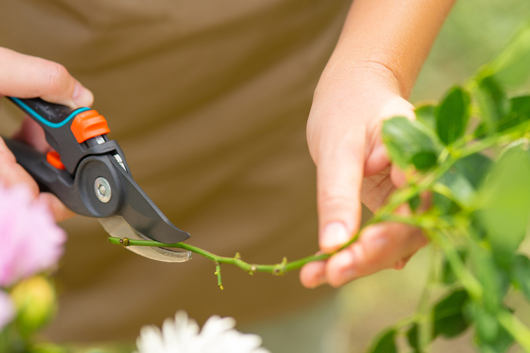 648923cc9f6f6.png 未命名__2023-06-14+10_17_10.png