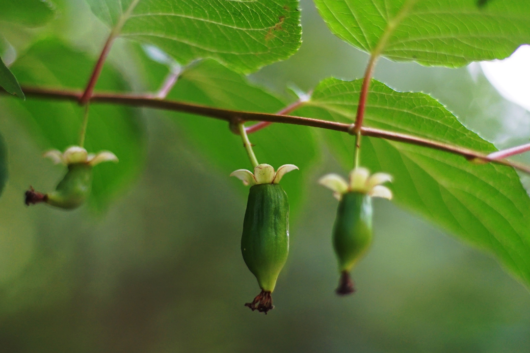 64b741939e5df.png 未命名__2023-04-25+10_34_40.png