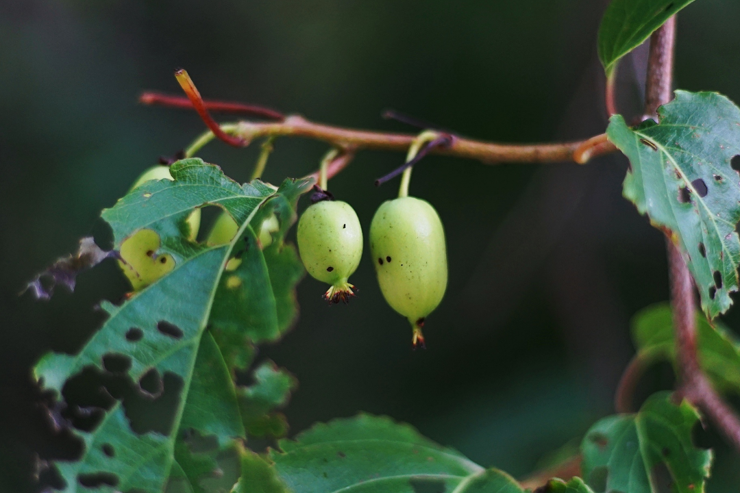 64b741b843d06.png 未命名__2023-04-25+10_34_57.png