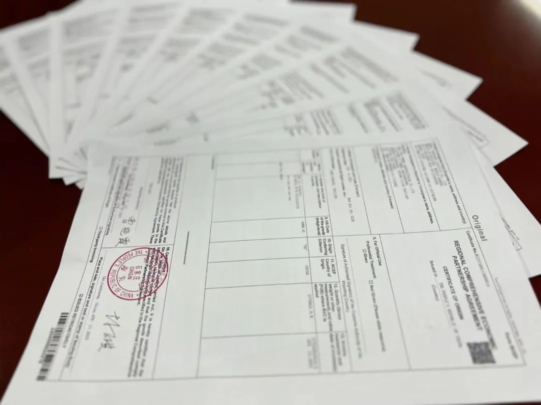 652de7497f9d0.jpg 3.jpg